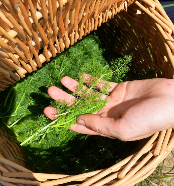 gomasio herbes à ma(g)gie – Image 2