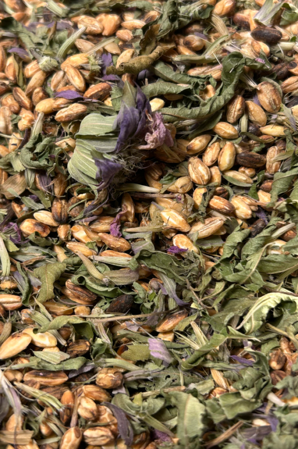 mugicha « citron des champs » – Image 2
