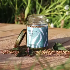 sobasio menthe toastée