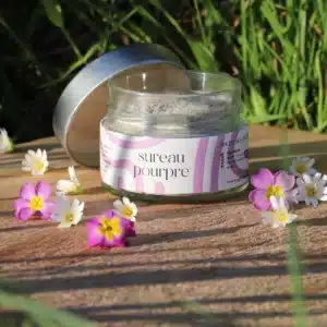 sucre sureau pourpre