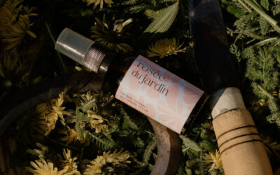 Hydrolat visage : quelle brume pour ma peau ?
