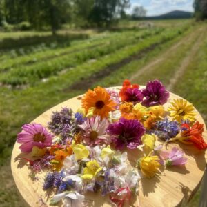 box de fleurs et feuilles fraîches