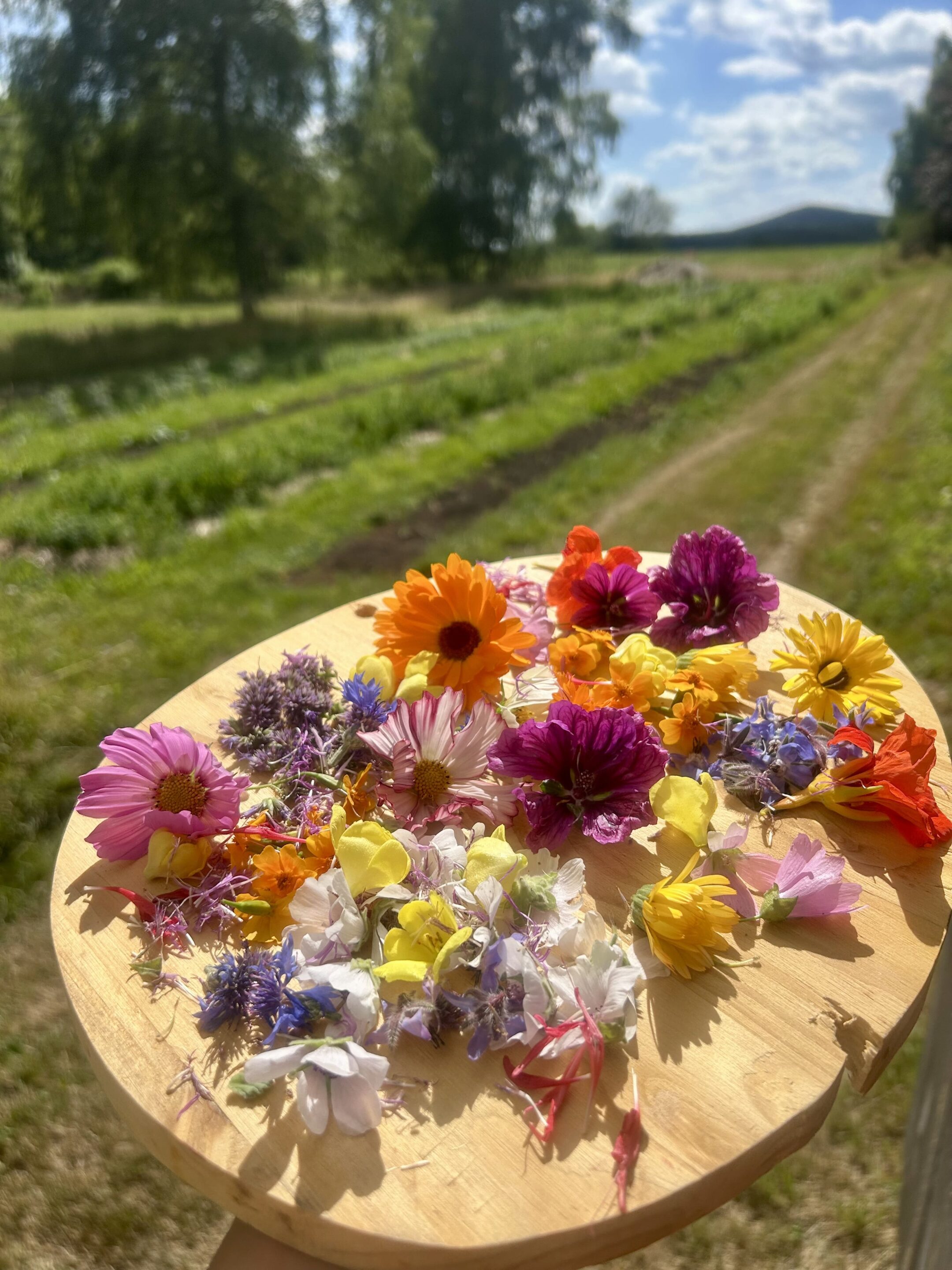 box de fleurs et feuilles fraîches