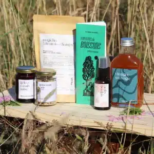 coffret été : soleil vert (édition limitée)