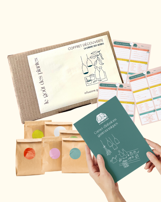kit découverte infusions gastronomiques