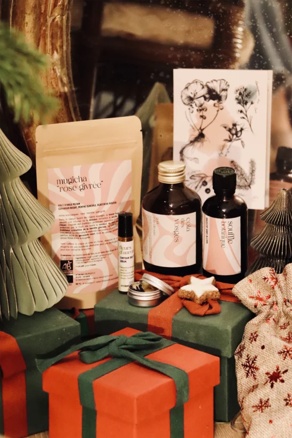 Coffret hiver : Jardin Enchanté (édition limitée)