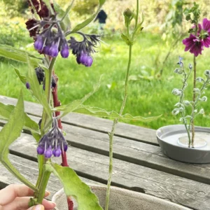 Atelier - Ikebana, art floral