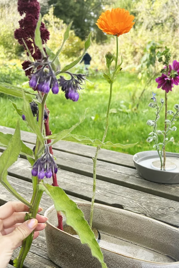 Atelier - Ikebana, art floral
