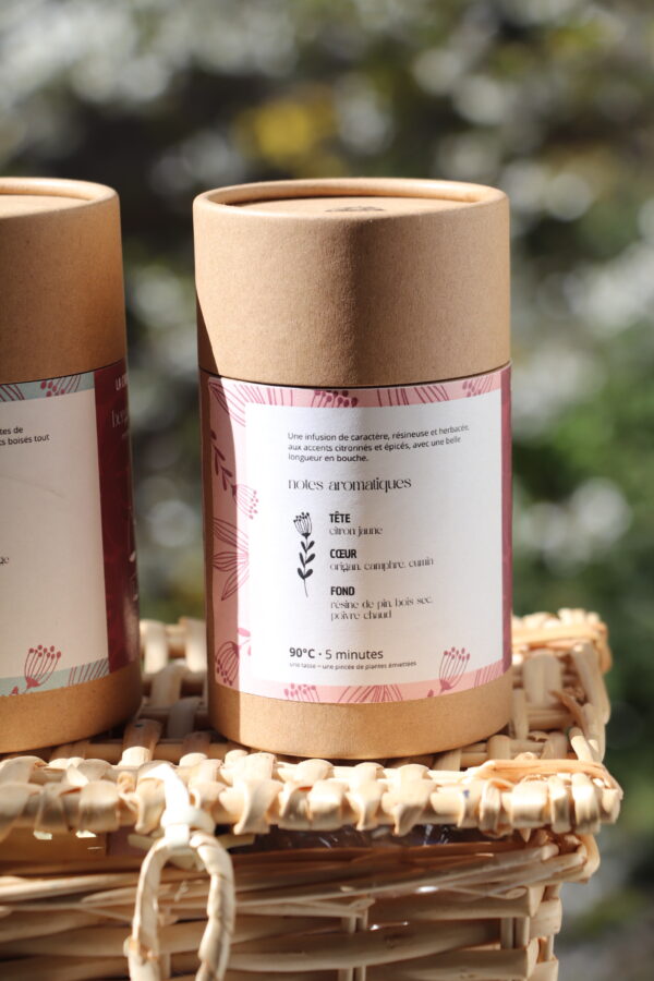 infusion gastronomique