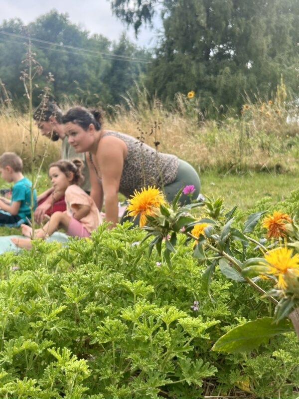 Yoga parent-enfant & découverte des plantes