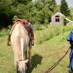 Balade à cheval et découverte du jardin