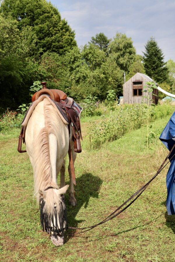 Balade à cheval et découverte du jardin
