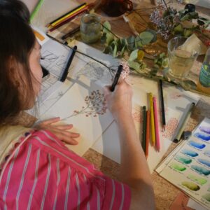 dessin botanique