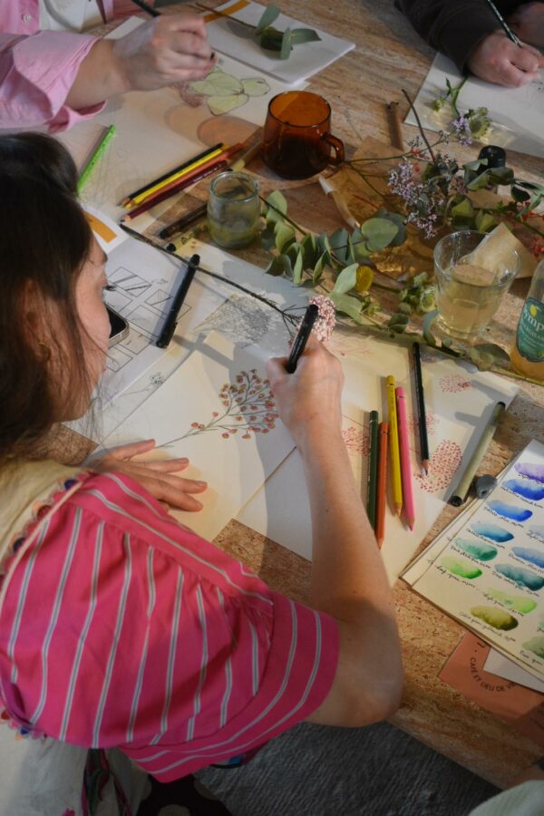dessin botanique